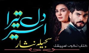 Read more about the article Dil Tera Aseer By Sajeela Nisar Complete Novel Pdf