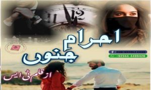 Read more about the article Ehram e Junoon by TS Writes Complete Novel Download