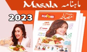 Read more about the article Masalah Magzine June 2023 Free Pdf Download