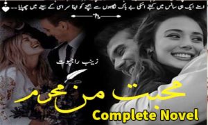 Read more about the article Mohabbat Man Mehram by Zainab Rajpoot Complete Novel Download