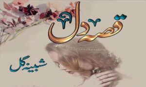 Read more about the article Qissa e Dil by Shabina Gul Complete Novel Free Download