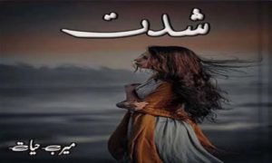 Read more about the article Shiddat Complete Novel By Meerab Hayat Free Download