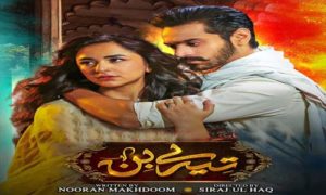 Read more about the article Tere Bin Urdu Drama All Episode Free Download