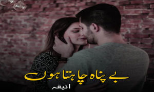 Read more about the article Bepanah Chahta Hon By Aneeqa Complete Novel in PDF