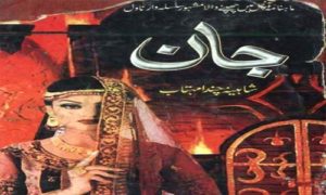 Read more about the article Jaan Complete Novel By Shaheena Chanda Mehtab Download