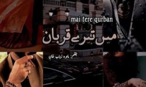 Read more about the article Mai Tere Qurban By Mahira Zaynab Khan Complete Novel Download