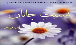 Read more about the article Nisbat E Janan By Dur E Haala Complete Novel Download