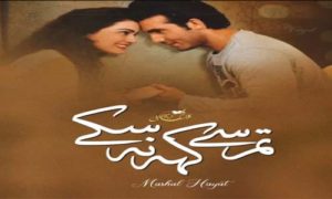 Read more about the article Tumse Keh Na Sake Complete Novel By Mashal Hayat Download