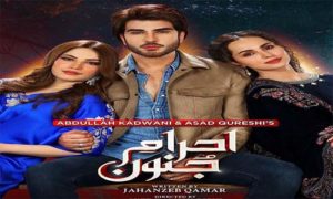 Read more about the article Ahram e Junoon by Jahanzeb Qamar Complete Novel Free Download