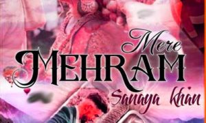 Read more about the article Mehram Mere by Sanaya Khan Complete Novel PDF Download
