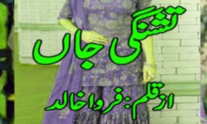 Read more about the article Tashnagi E Jaan By Farwa Khalid Complete Novel IN PDF